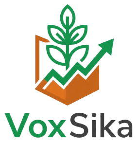 Voxsika logo